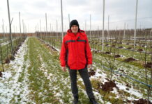 #7 Nawożenie organiczne w sadzie – alternatywa dla nawozów mineralnych, 08.02.2022