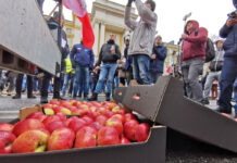 protest rolników