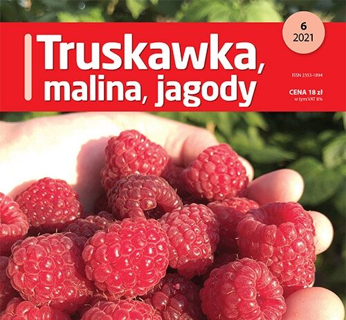TMJ 6/2022 - okładka