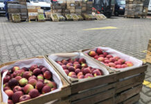 Ceny oraz sprzedaż jabłek i gruszek na rynku w Broniszach – 05.09.2022