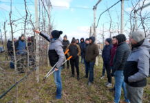 Cięcie Gali –  Robert Binkiewicz, Agrosimex [Video]