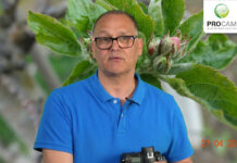 Krzysztof Gasparski