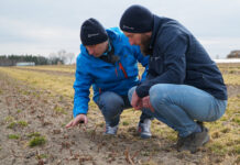 Aktualna sytuacja na plantacji malin jesiennych, Czerwińsk nad Wisłą [Video]
