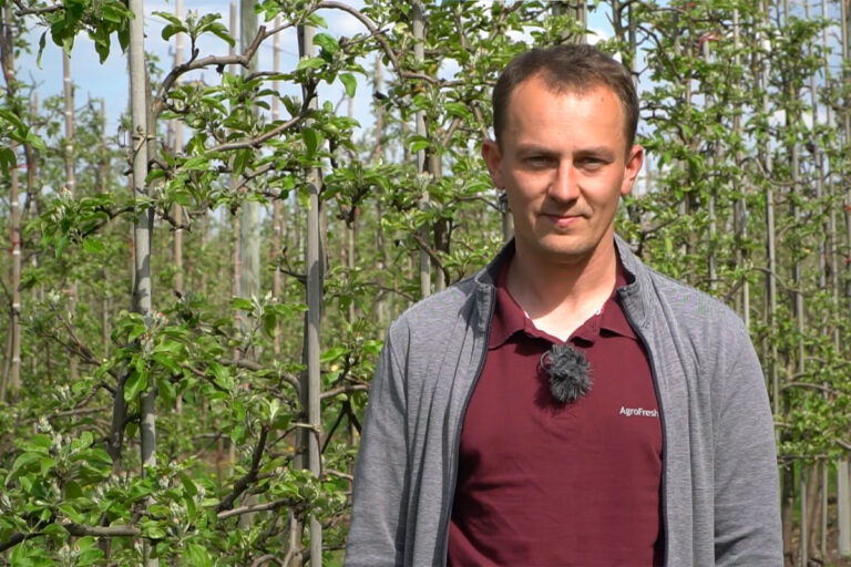 #4 Komunikat sadowniczy Mateusz Nowacki. Parch jabłoni, mączniak i szara pleśń, 05.05.2022