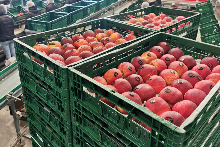 Sytuacja w handlu jabłkami odwraca się na korzyść sadowników