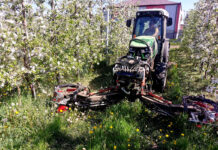 Mechaniczne usuwanie chwastów, zwalczanie zwójek – relacja z Lipowej i nie tylko… [Video]