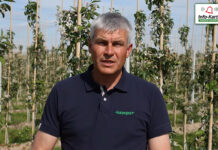 Komunikat sadowniczy – Robert Binkiewicz, Agrosimex, 18.05.2022