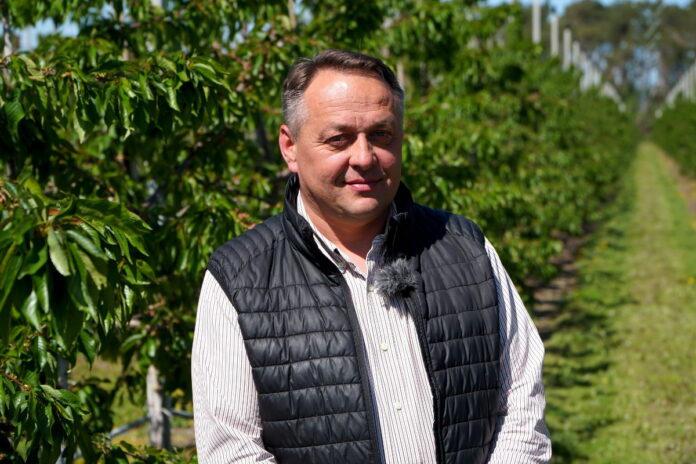 marek dąbrowski