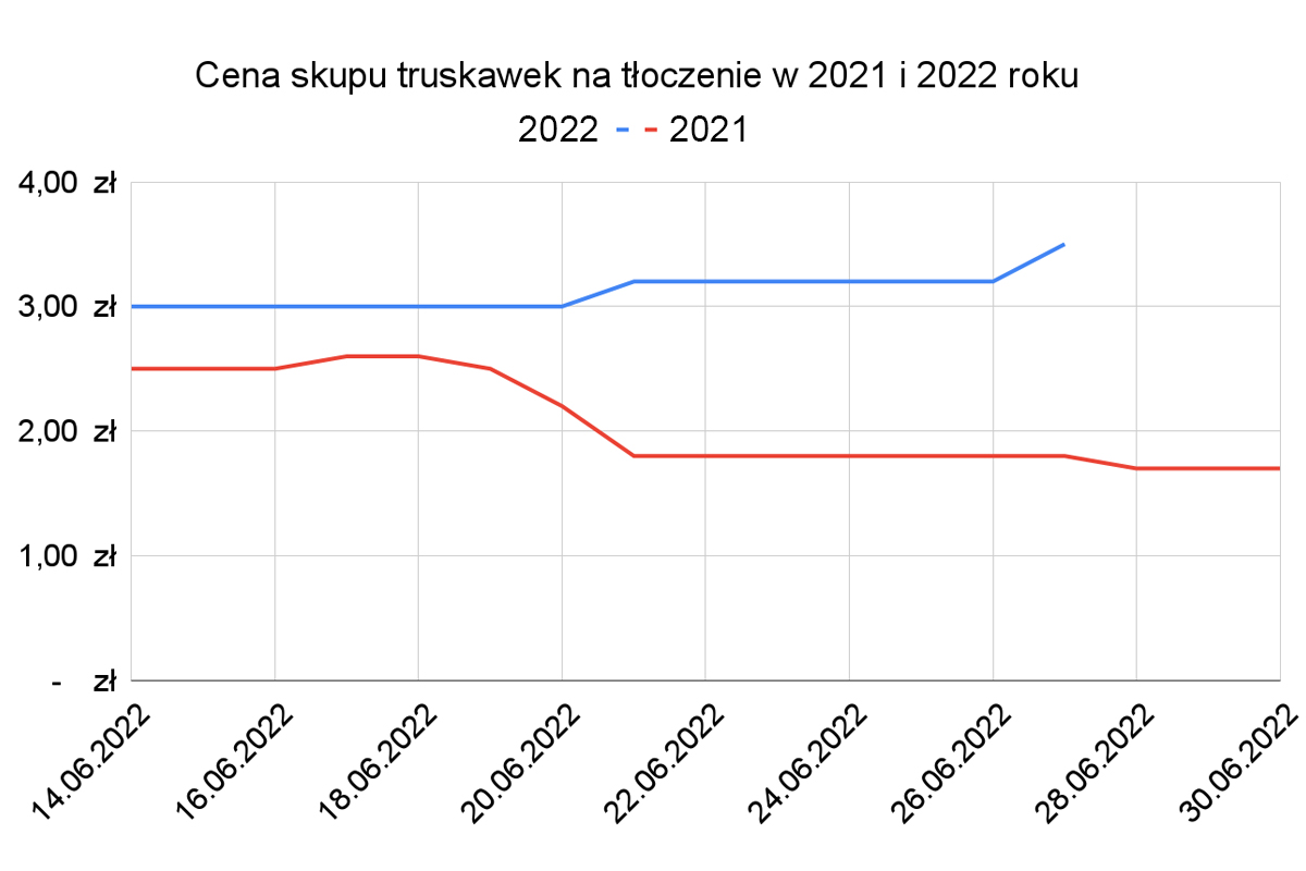 ceny skupu truskawek