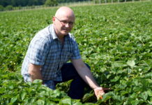 Ochrona plantacji truskawek przed szarą pleśnią – Tomasz Lewandowski, 07.06.2022