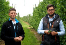 Infekcje wtórne parcha jabłoni – jak radzić sobie z plamami? 15.06.2022