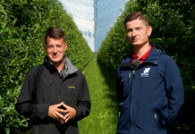 Ocena sytuacji w sadach – komunikat AgroFresh, 25.06.2022