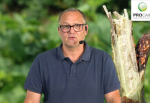 dr Krzysztof Gasparski