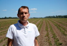 Budowanie potencjału plonotwórczego truskawek na przyszły sezon – Jacek Witkowski, 16.07.2022