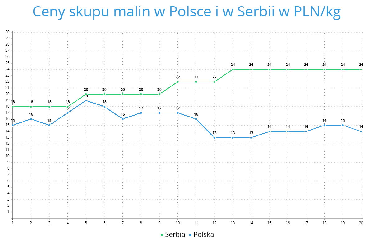 skup malin 2022