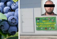 Kupił borówki i nie zapłacił. Oszust został zatrzymany