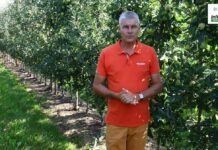 Sierpniowe nawożenie i odżywianie sadów jabłoniowych – komunikat sadowniczy Agrosimex