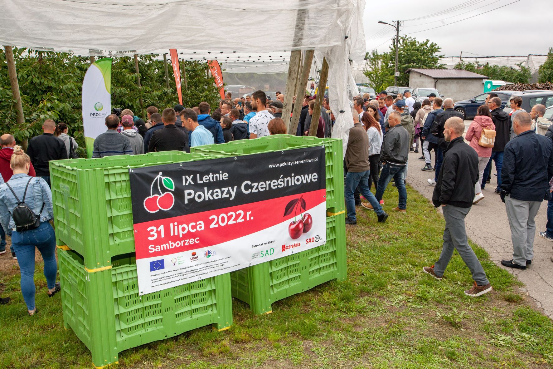 Praktyczny pokaz cięcia czereśni w sadzie w Polanowie