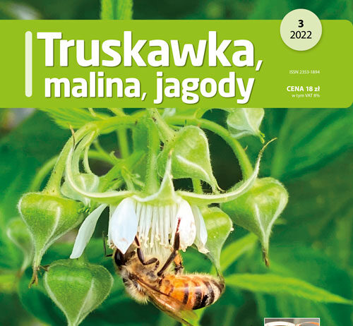 Truskawka malina jagody nr 3/2022 - okładka