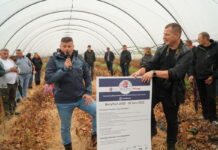 Berry Tech 2022 – podsumowanie warsztatów dla plantatorów [Video]