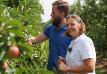 Aktualna sytuacja w sadach w powiecie grójeckim, Dobiecin, 10.08.2022