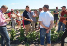 Spotkanie dla producentów malin w Kożuchówce – relacja z plantacji [Video]