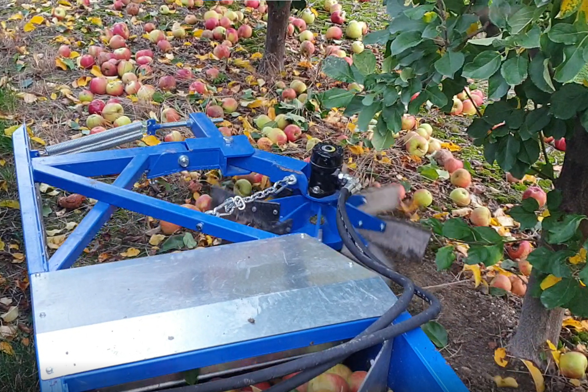 jabłka przemysłowe