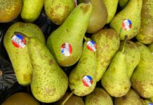 Importowane gruszki w Biedronce – odpowiedź sieci