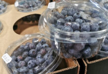 Borówki: Ostatnie dostawy owoców krajowych, wkracza drogi import