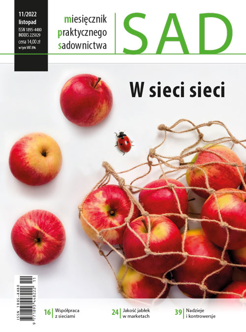 MPS Sad 11/2022 - okładka
