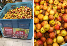 Gable w skrzyni z jabłkami, czyli jakie owoce powinny trafiać do marketów?