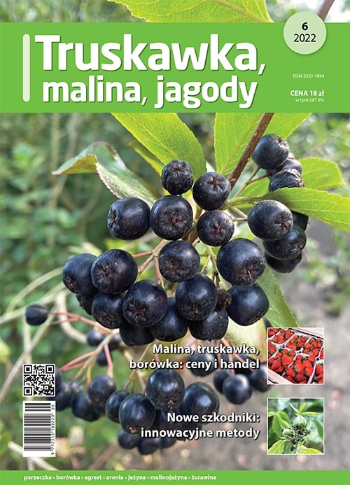 Truskawka Malina Jagody 6/2022 - okładka