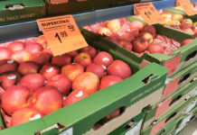 Drogie cytrusy. Czy klienci sklepów będą częściej sięgać po jabłka?