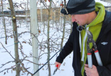 Cięcie Red Jonaprince – korekta po cięciu mechanicznym, Marcin Piesiewicz, 22.12.2022