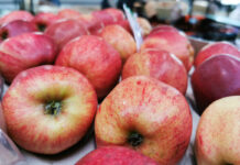 Eksportujemy jabłka w wyższych cenach niż przed rokiem