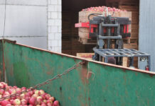 Jabłka przemysłowe: Niż „Brygida” rozdaje karty