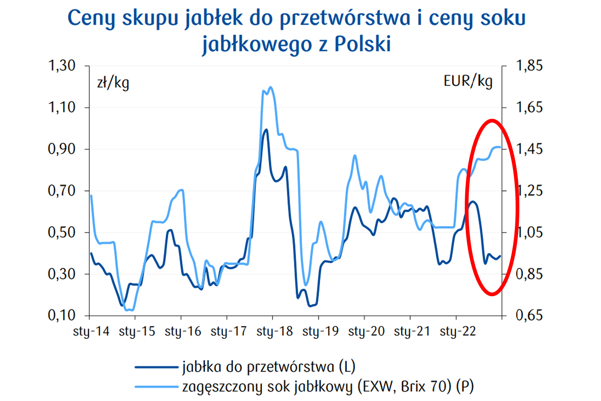 ceny jabłek soku