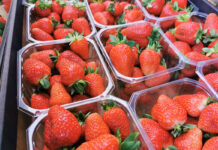 Większy popyt i wyższe ceny truskawek przed Walentynkami