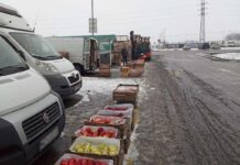 Aktualna sytuacja na rynku hurtowym w Broniszach, 06.02.2023