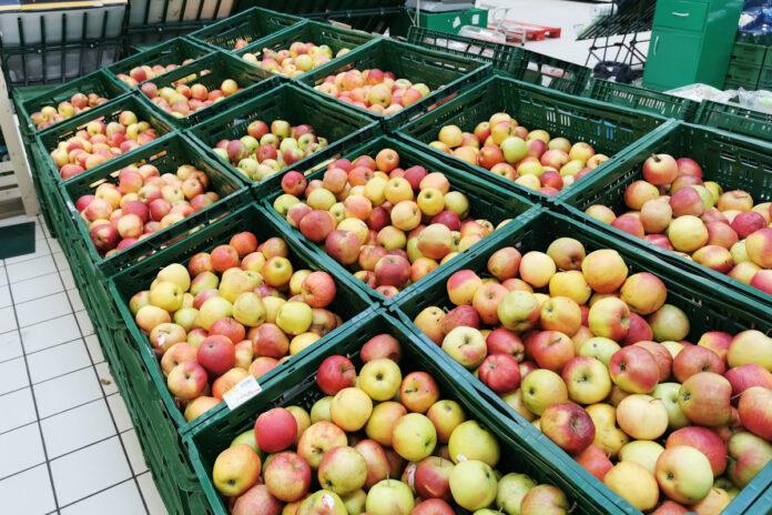 jabłka market