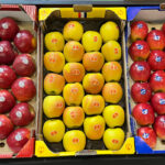 jabłka na targach