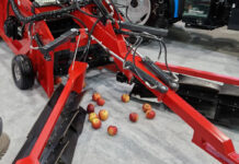 Jak może rozwinąć się rynek kombajnów do zbioru jabłek przemysłowych?