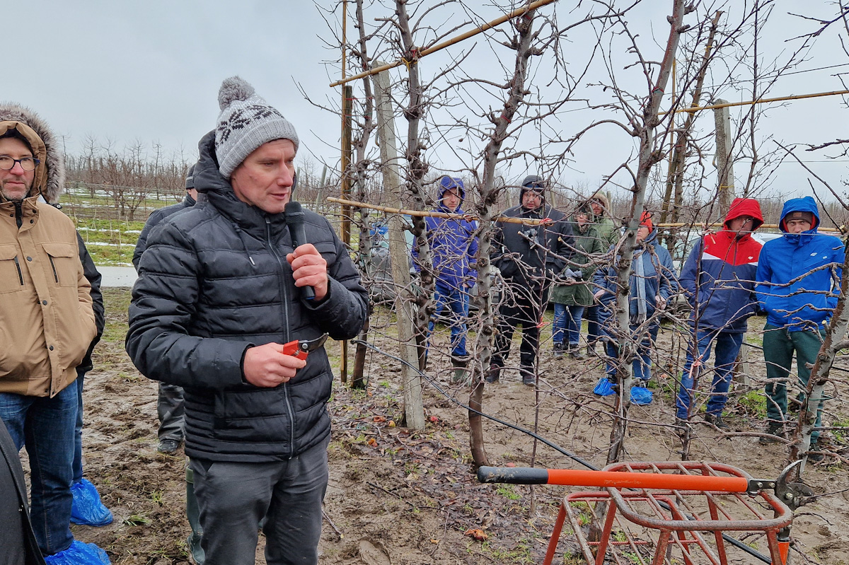 Korekta ręczna Red Jonaprinca po cięciu mechanicznym – Marcin Piesiewicz, Usarzów [Video]
