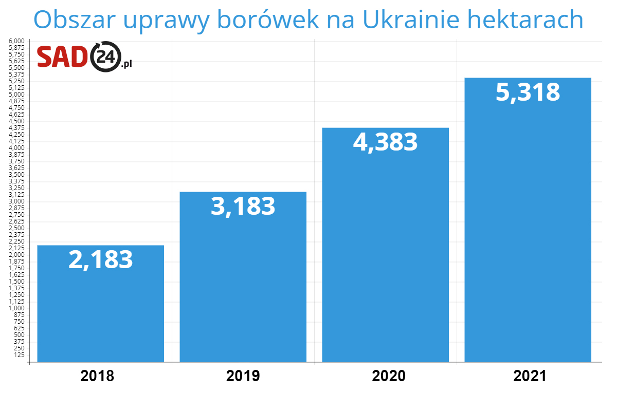Obszar uprawy borówek na Ukrainie hektarach