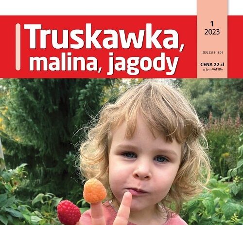 TMJ numer 1/2023 - okładka
