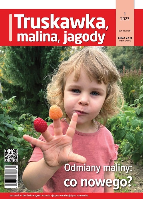 TMJ numer 1/2023 - okładka