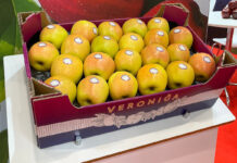 Wielu gości z całego świata na polskim stoisku, czyli Fruit Logistica 2023 okiem handlowca