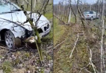 Zniszczone drzewka i połamane słupki – co było przyczyną wypadku?
