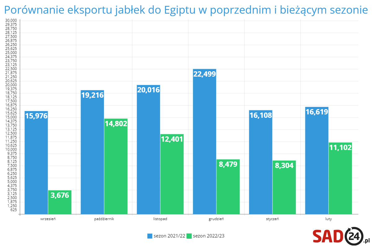 Porównanie eksportu jabłek do Egiptu w poprzednim i bieżącym sezonie
