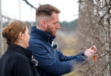 Aktualna sytuacja w sadach w powiecie grójeckim, Mogielnica, 24.03.2022